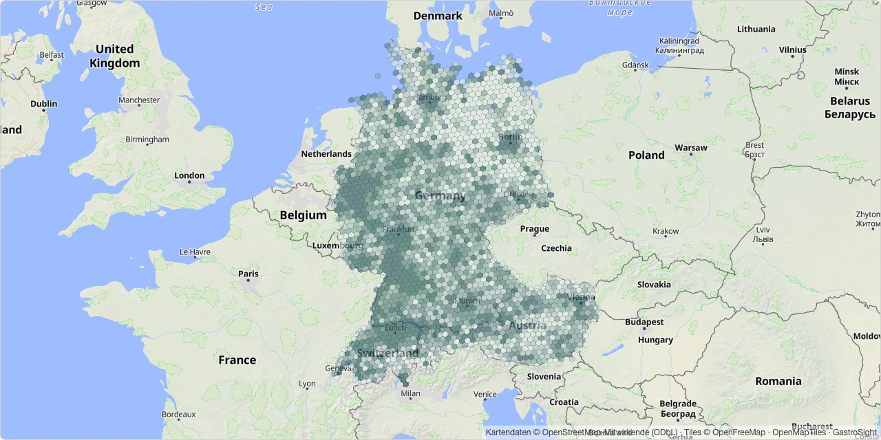 Vorschau der Gastro-Dichte-Karte: Hexagon-Raster über Deutschland, Österreich und der Schweiz